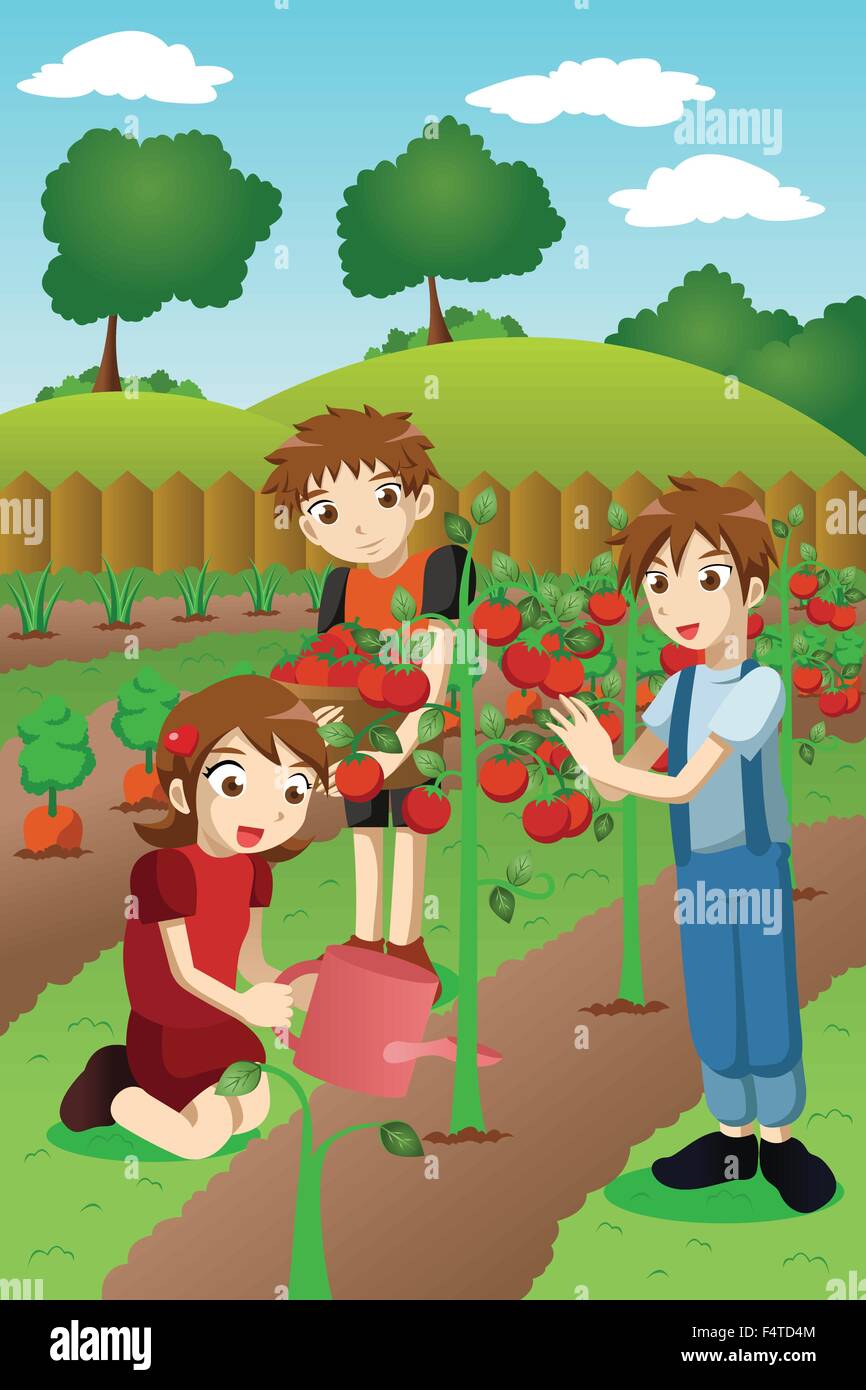 A vector illustration of kids planting vegetables and fruits in a garden Stock Vector