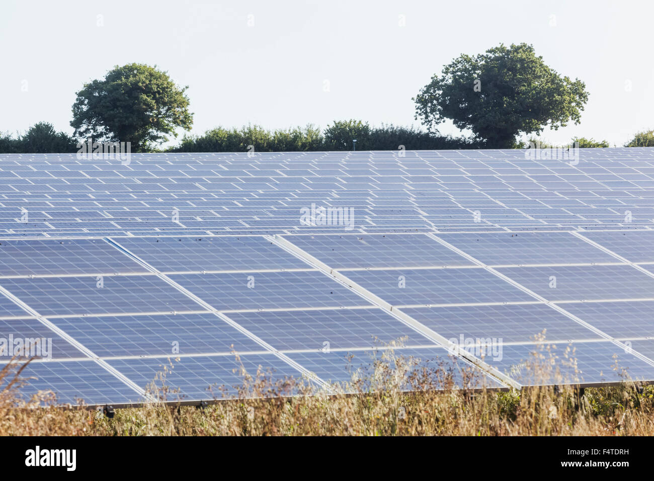 England, Hampshire, Solar Panel Farm Stock Photo