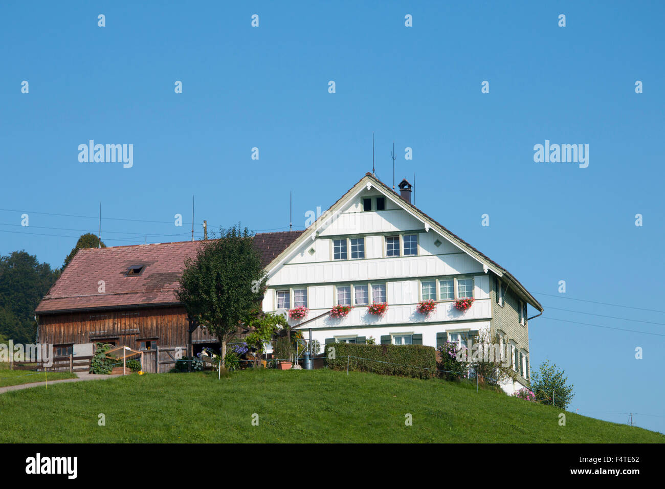 Switzerland, Europe, Stein, Appenzell  Ausserrhoden, farmhouse, hill, agriculture Stock Photo