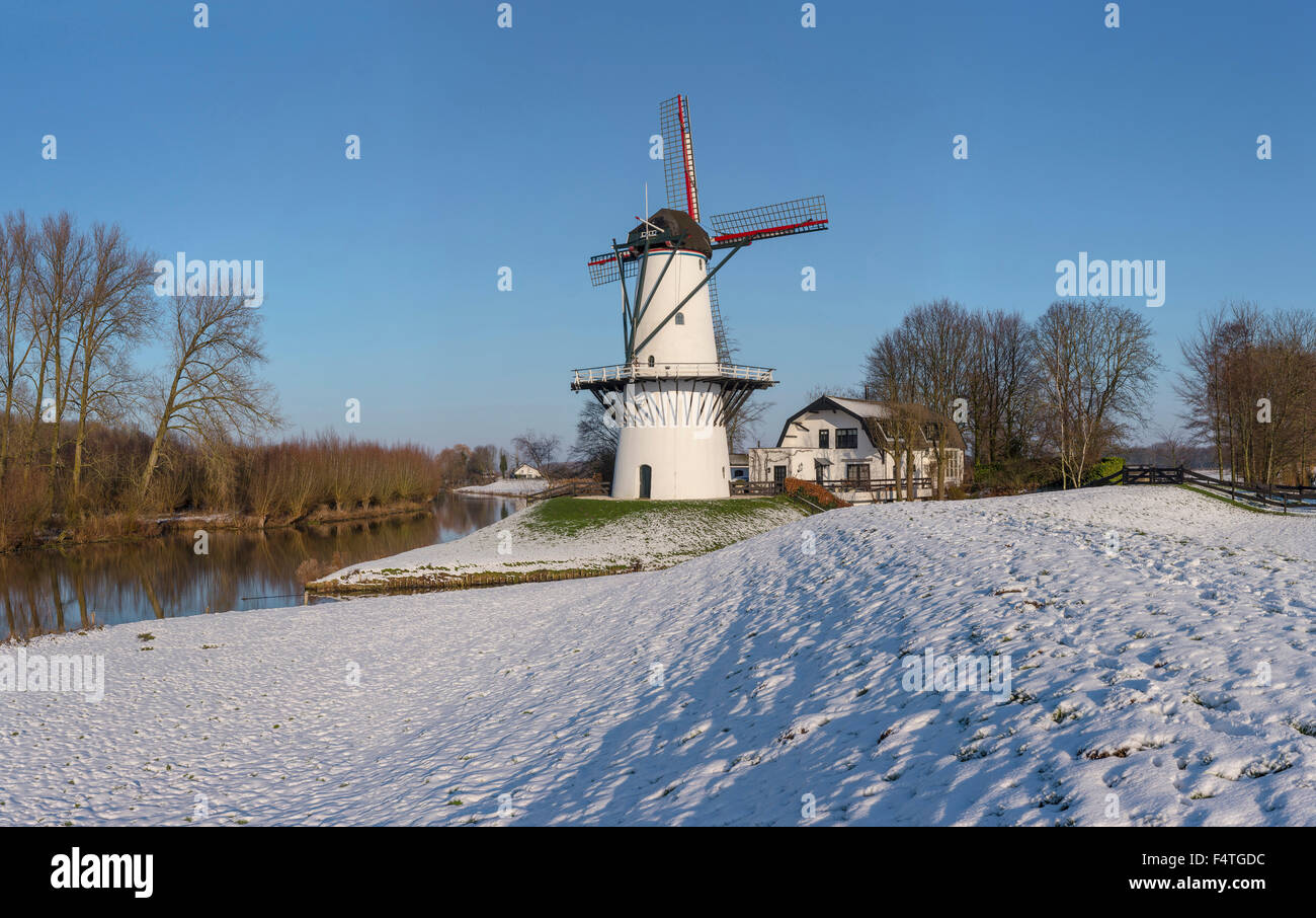 Pare producing windmill called The Schoolmaster (De Schoolmeester) Stock Photo