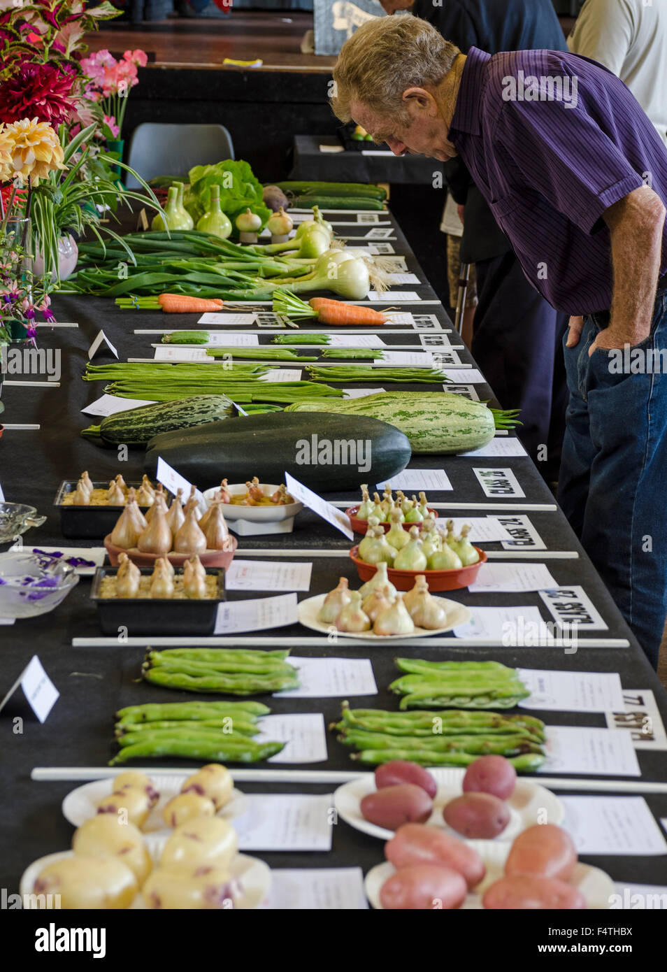 local village flower and vegetable show displays and judging Stock