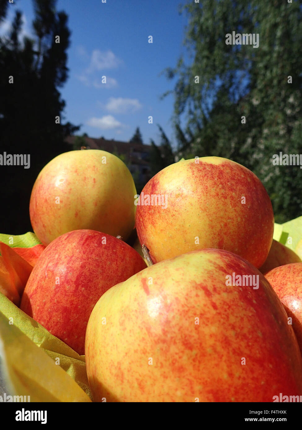 Apple, apples, fruit, eat, Food, healthy, fruit Stock Photo