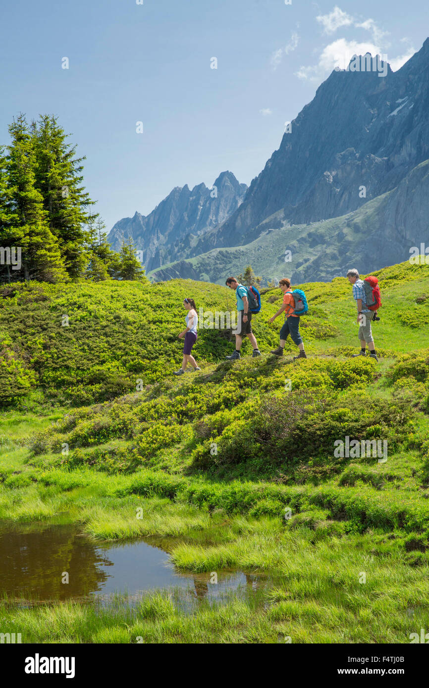 Hiking in Reichenbachtal valley, Stock Photo