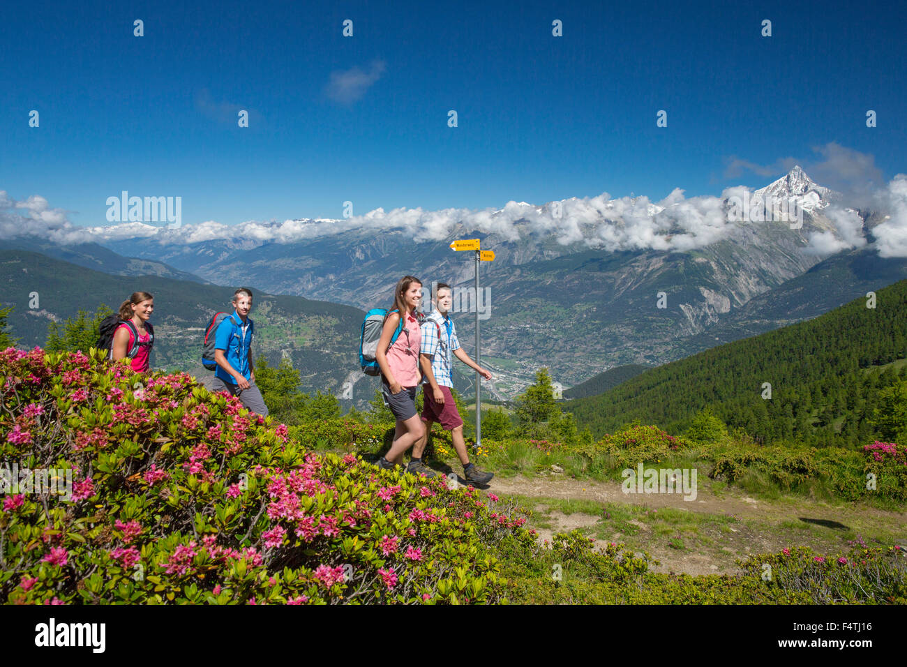 Hiking near Gibidum, background: Rhone valley near Bietschhorn, Stock Photo