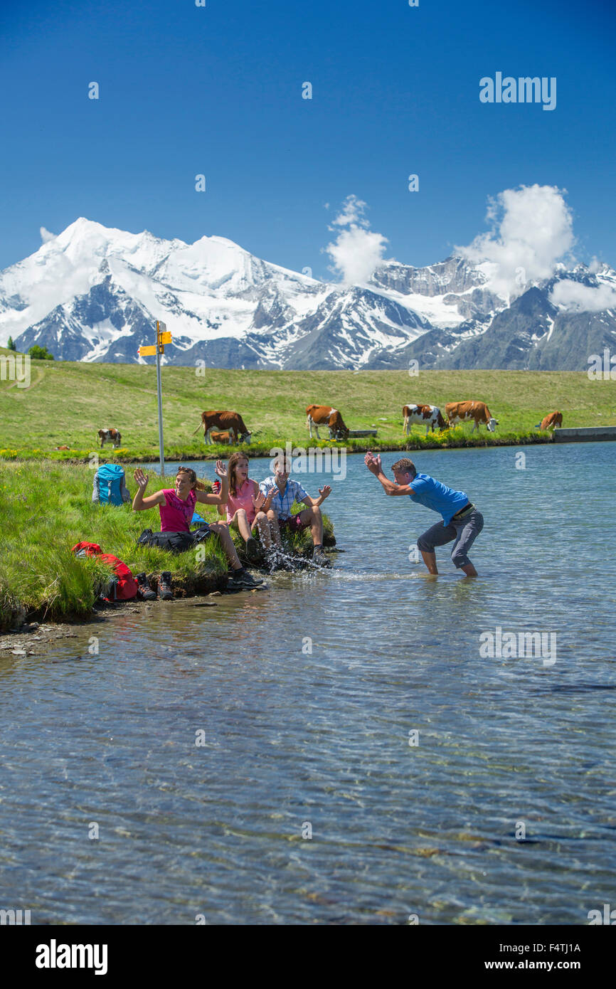 Hiking in Gibidumsee, background: Weisshorn, Stock Photo