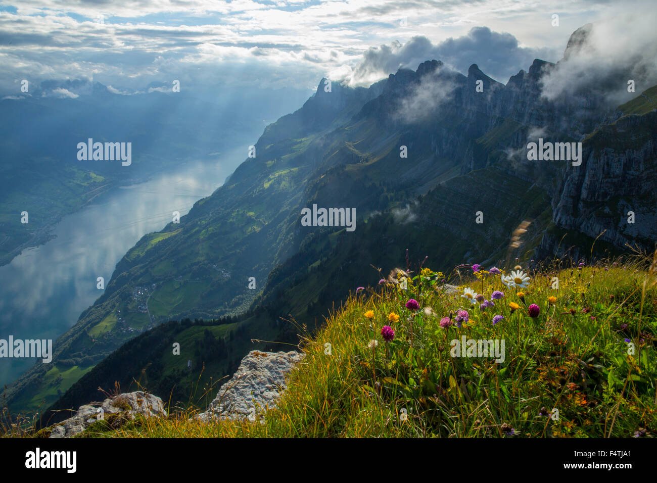 View from Chäserrugg on Churfirsten and Walensee, Stock Photo