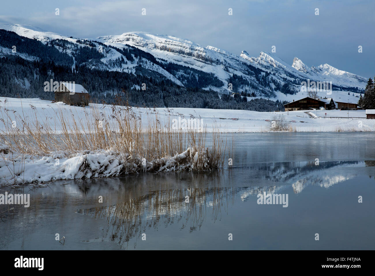 Schönenbodensee in Wildhaus in Toggenburg, Stock Photo