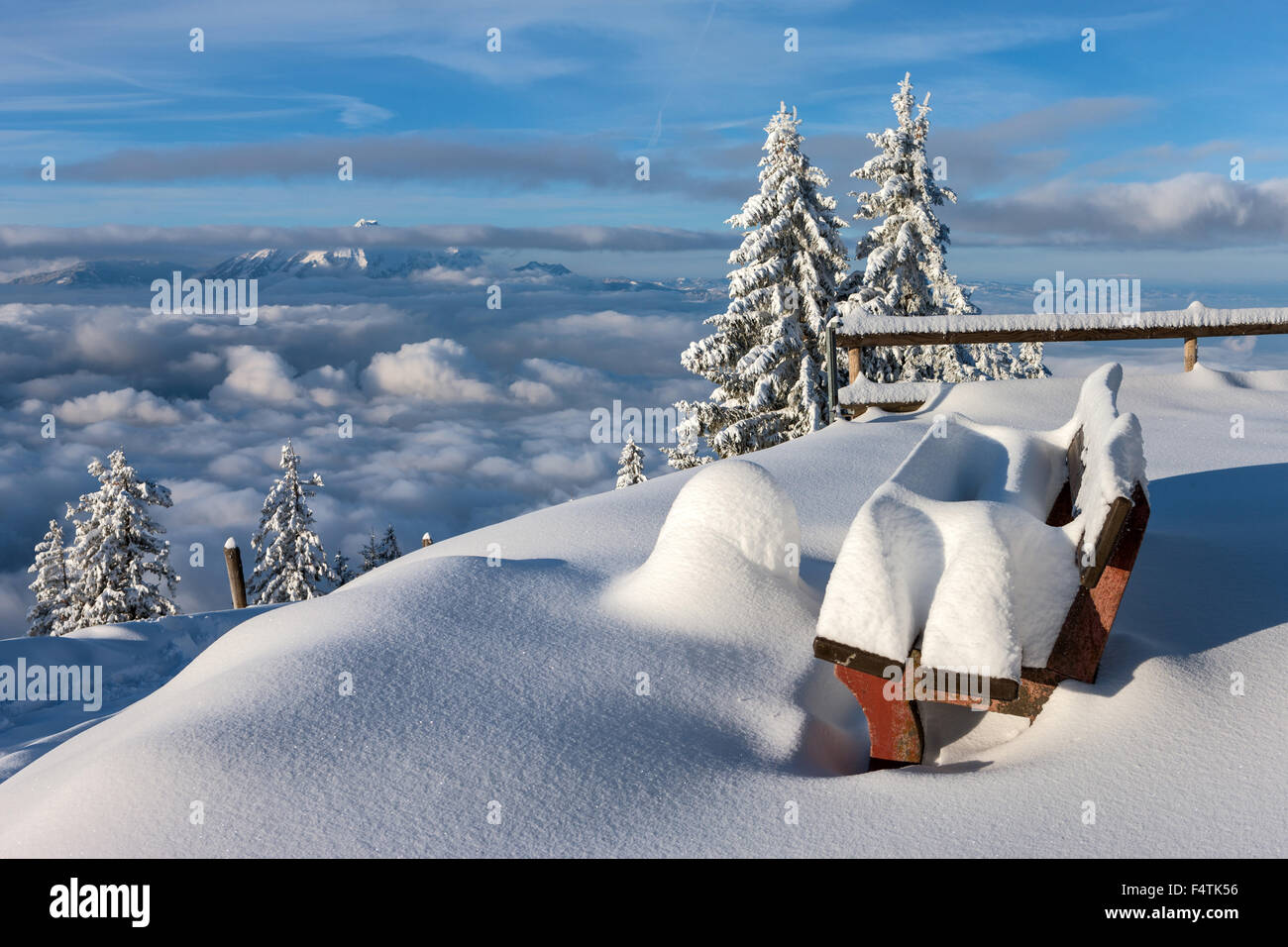 View, vista, Rigi, Staffelhöhe, Switzerland, canton Lucerne, wood, forest, winter, morning light, vantage point, sea of fog, foo Stock Photo