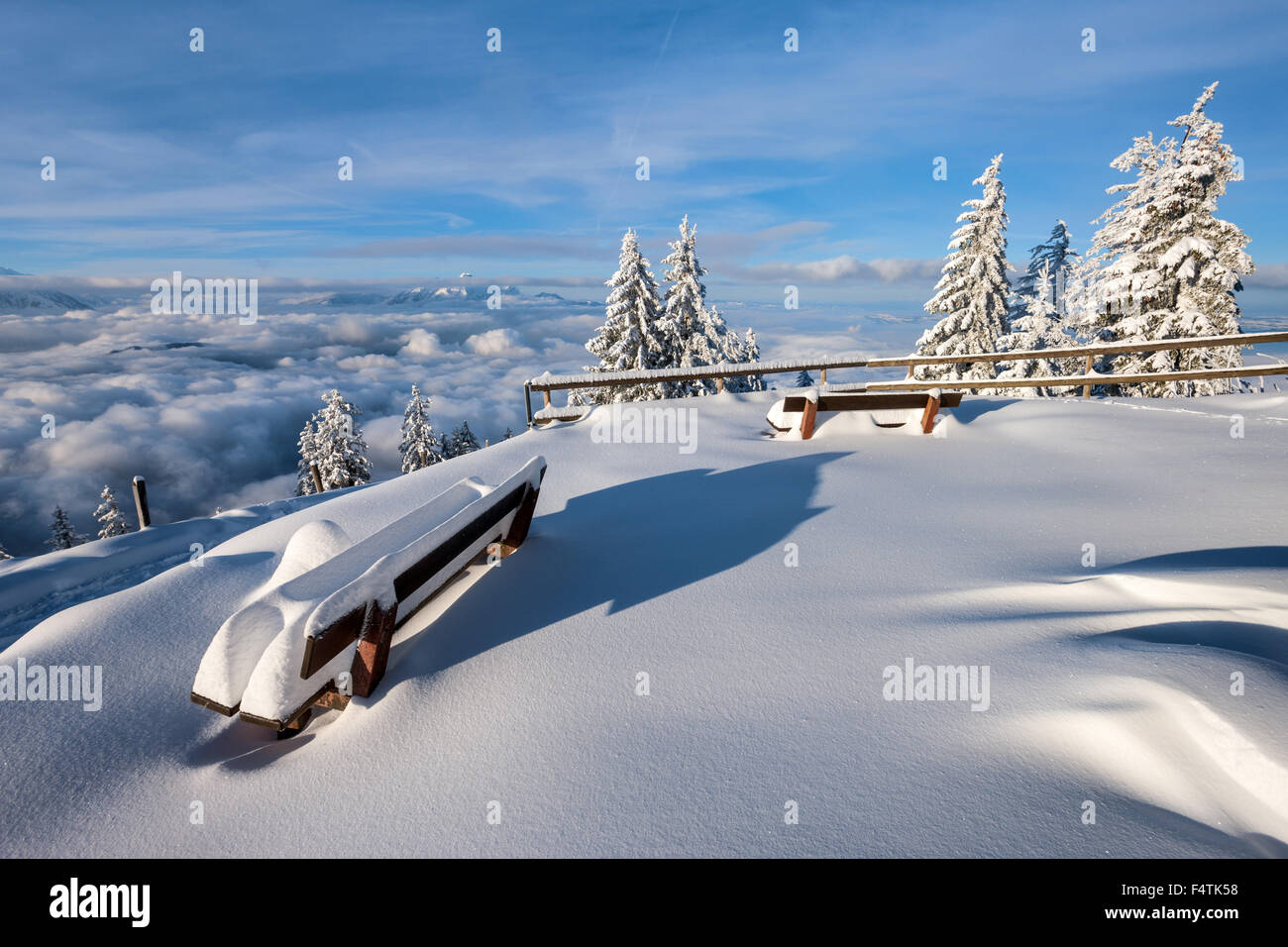 View, vista, Rigi, Staffelhöhe, Switzerland, canton Lucerne, wood, forest, winter, morning light, vantage point, sea of fog, foo Stock Photo