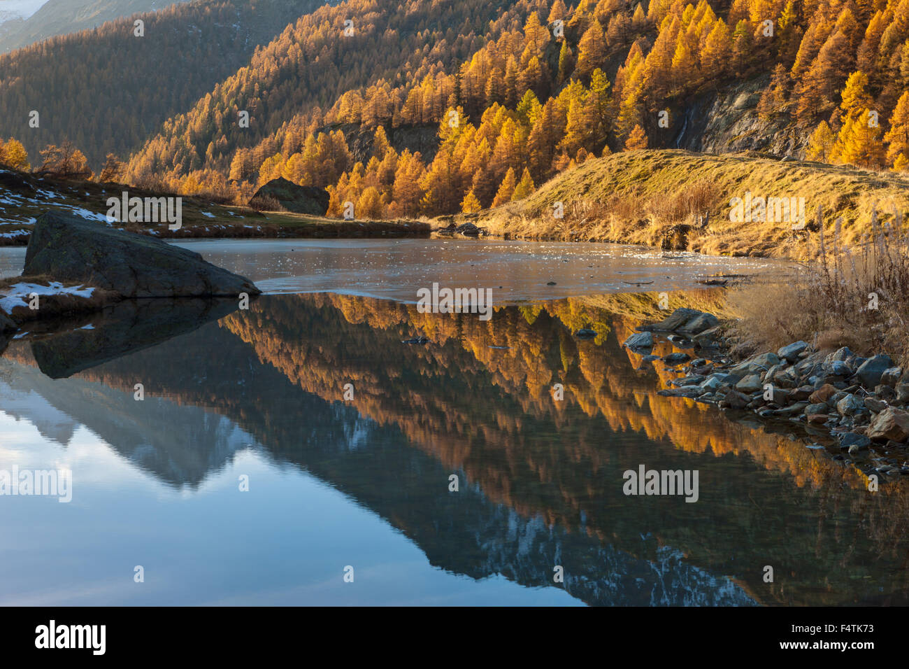Basic lake, Switzerland, canton, Valais, Lötschental, mountain lake, lake, reflection, autumn, larches Stock Photo
