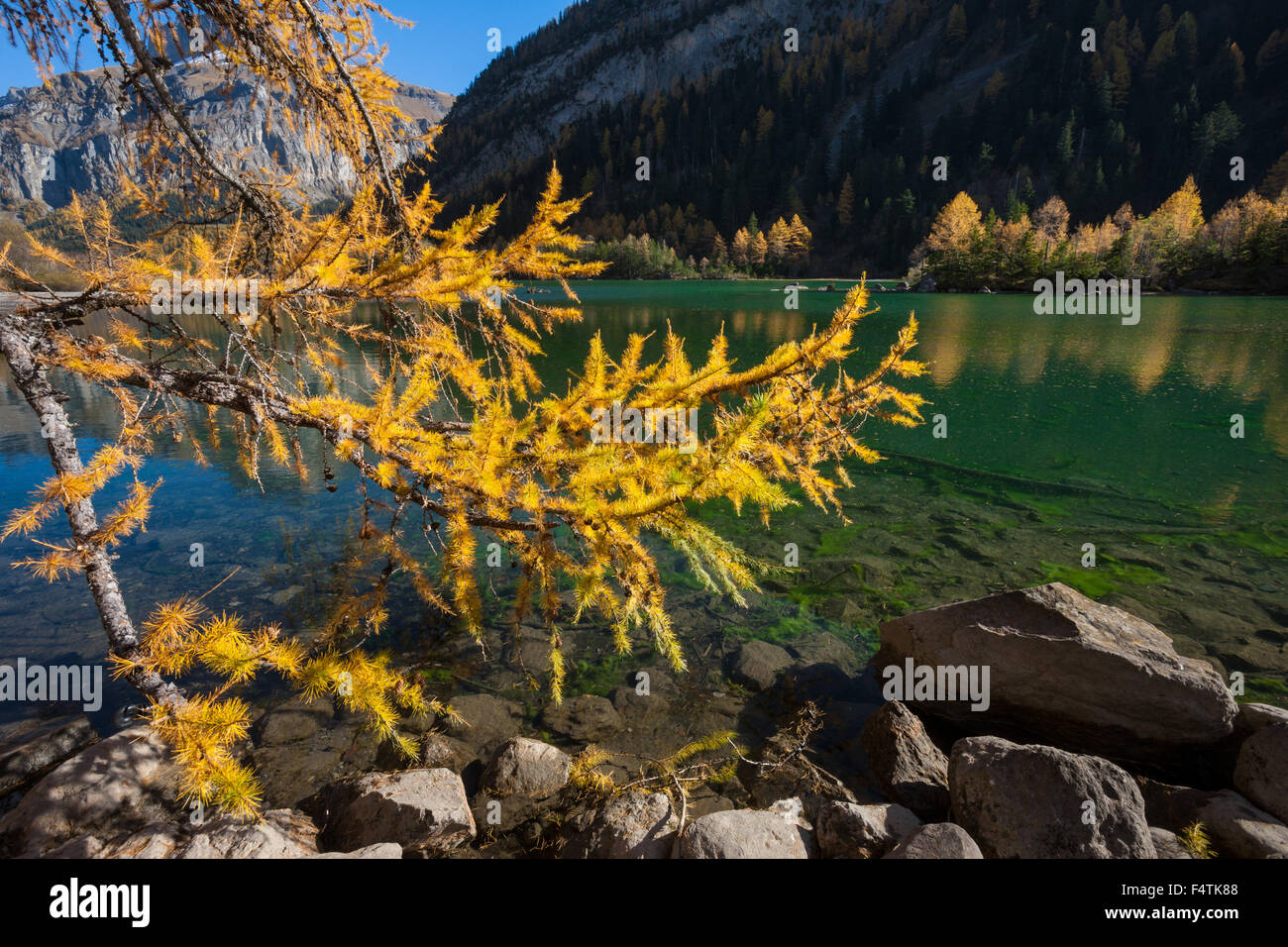 Lac de Derborence, Switzerland, canton, Valais, mountain lake, lake, landslip area, nature reserve, autumn, larch Stock Photo