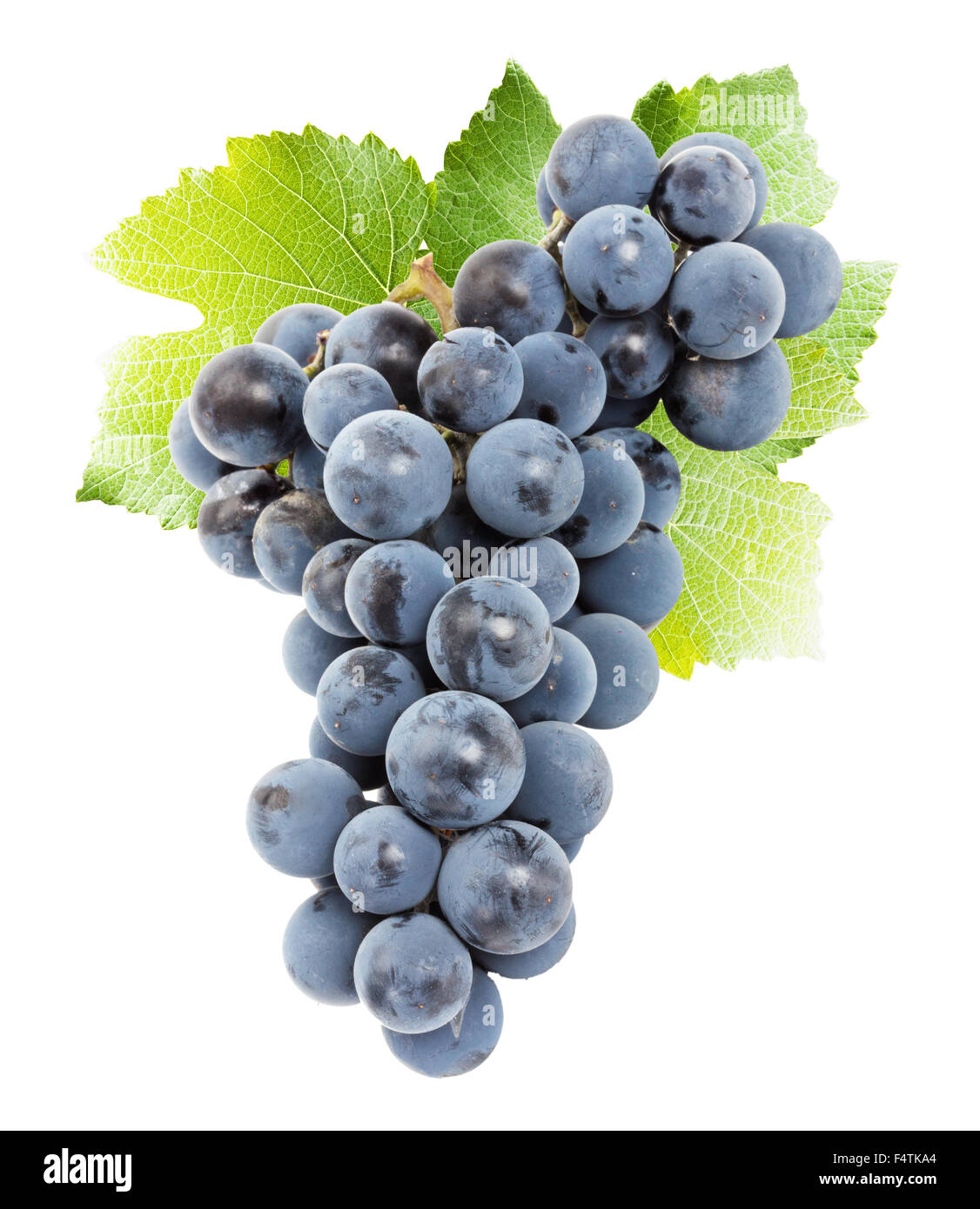 purple grape isolated on the white background. Stock Photo