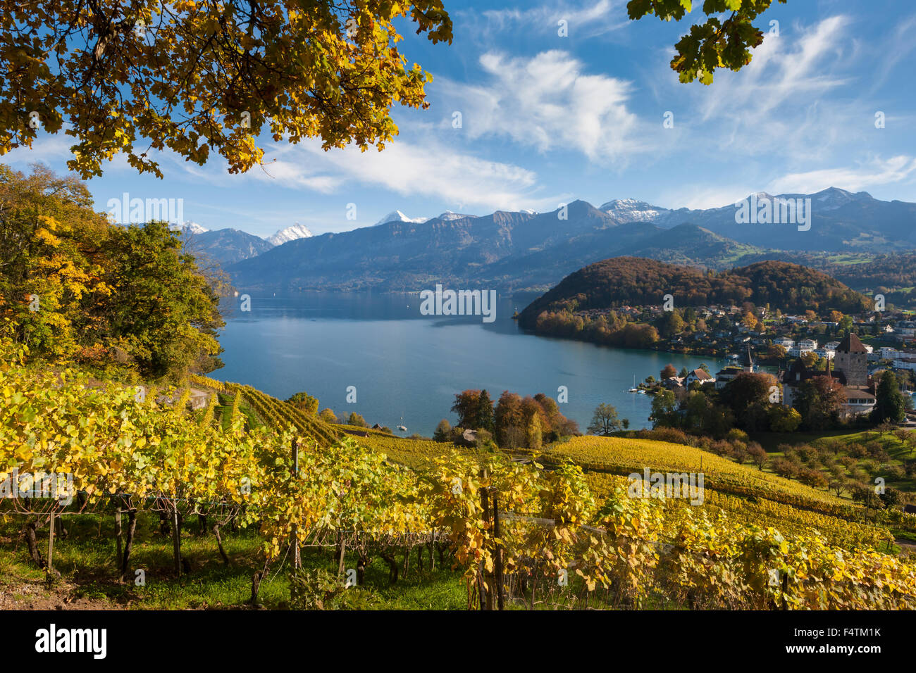 Spiez vineyard hires stock photography and images Alamy