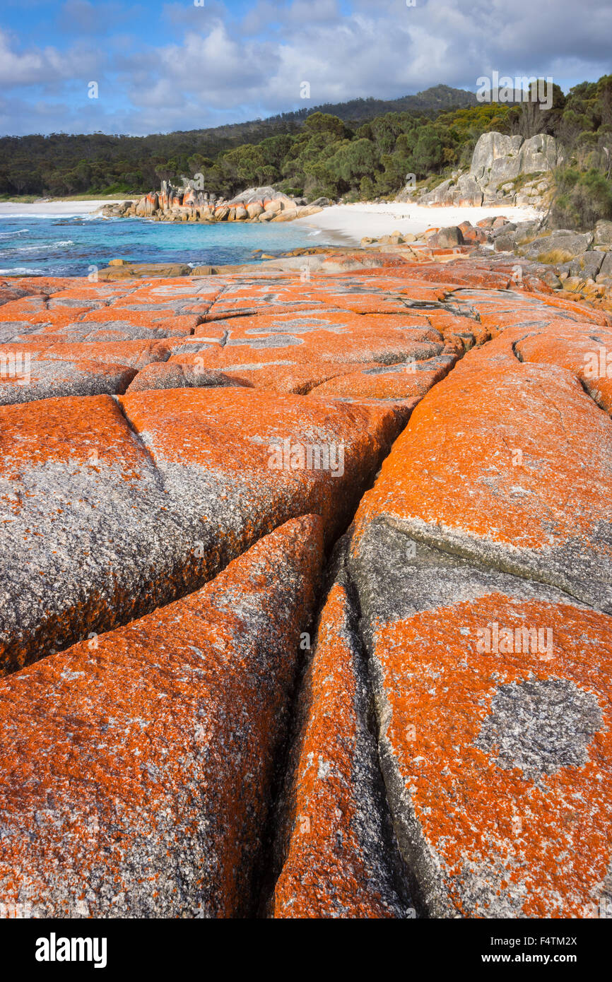 Bay of Fires, Australia, Tasmania, east coast, sea, rock, cliff, lichens Stock Photo