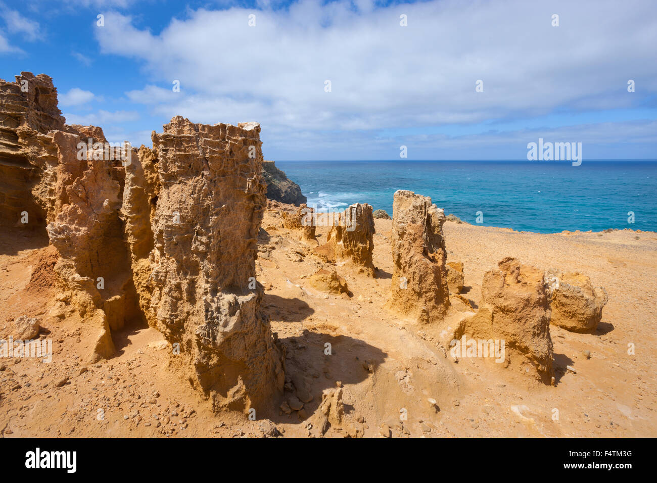 Cape Bridgewater, Petrified Forest, fossilization, Australia, Victoria,  sea, coast, rock, cliff, fossilized wood, forest Stock Photo - Alamy