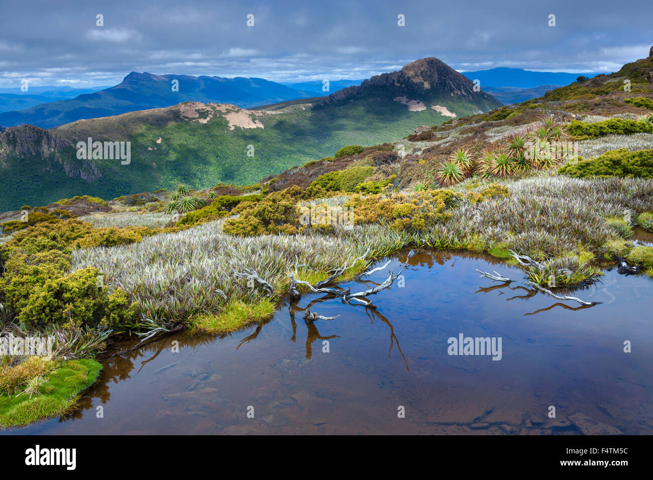 Mount Anne, track, Australia, Tasmania, Southwest, national park, plateau, pool, puddle, Stock Photo
