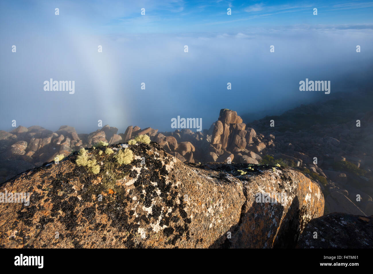 Mount Wellington, Australia, Tasmania, rock, cliff, fog Stock Photo