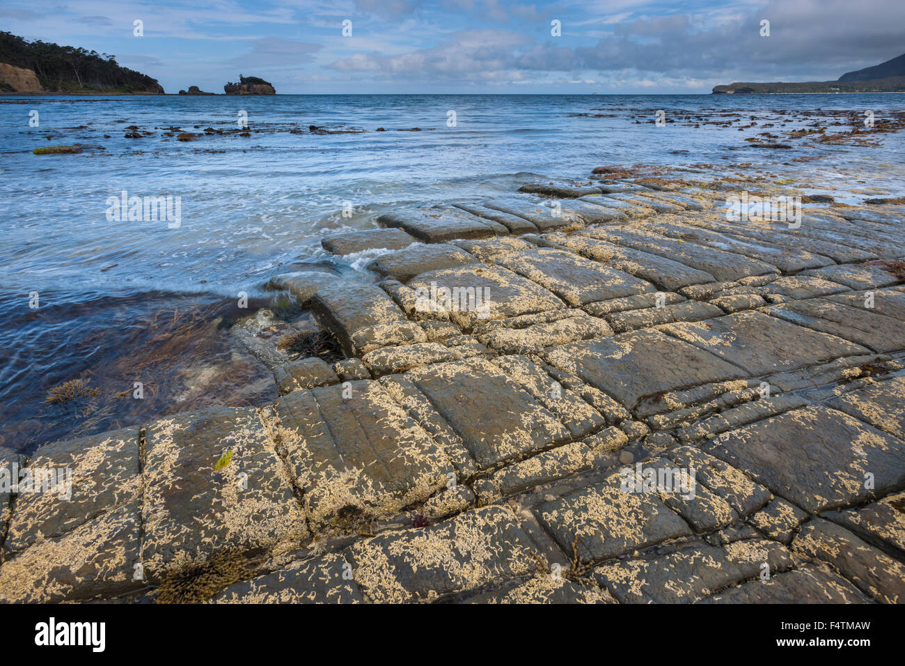 Tessellated Pavement, Australia, Tasmania, Tasman Peninsula, sea, coast, rock, cliff, Stock Photo