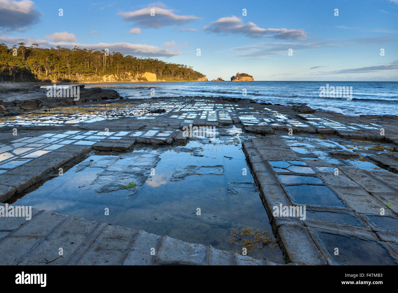 Tessellated Pavement, Australia, Tasmania, Tasman Peninsula, sea, coast, rock, cliff, Stock Photo