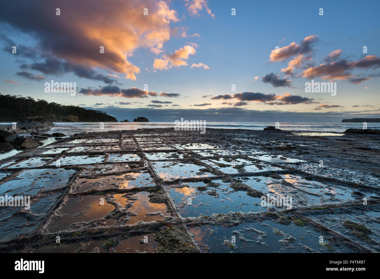 Tessellated Pavement, Australia, Tasmania, Tasman Peninsula, sea, coast, rock, cliff, morning, mood, reflection Stock Photo