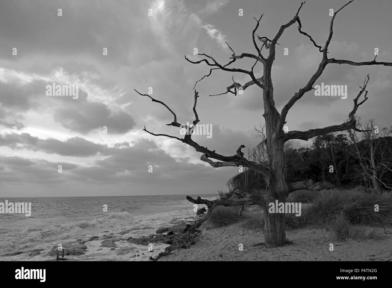 Erosion Black and White Stock Photos & Images - Alamy