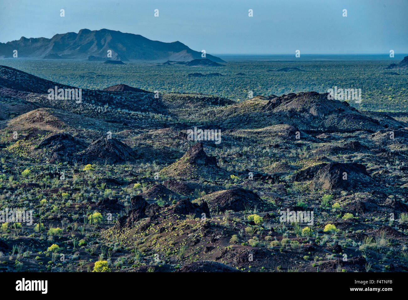 pinacate, biosphere, reserve, Mexico, Central America, landscape Stock Photo