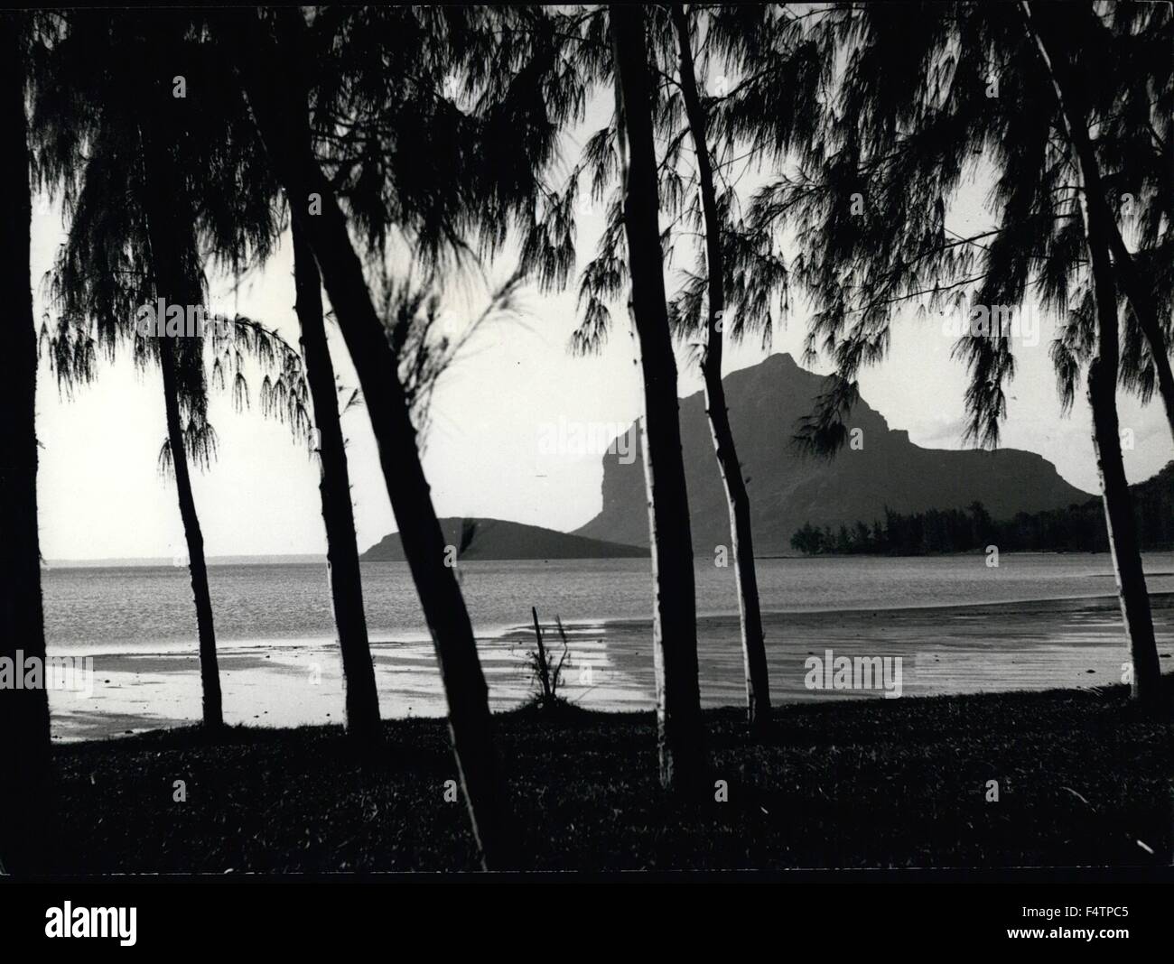 1963 - A Pretty evening scene in the South-Western corner of Mauritius, looking towards the heights of La Morne, which shelter one of the Islands most popular bathing and fishing resorts. Silhouetted against the sky are the Casuarina tree, a species of pine, which are of great importance in Mauritius, being planted as a source of light timber wherever cane cannot be made to grow. (Credit Image: © Keystone Pictures USA/ZUMAPRESS.com) Stock Photo