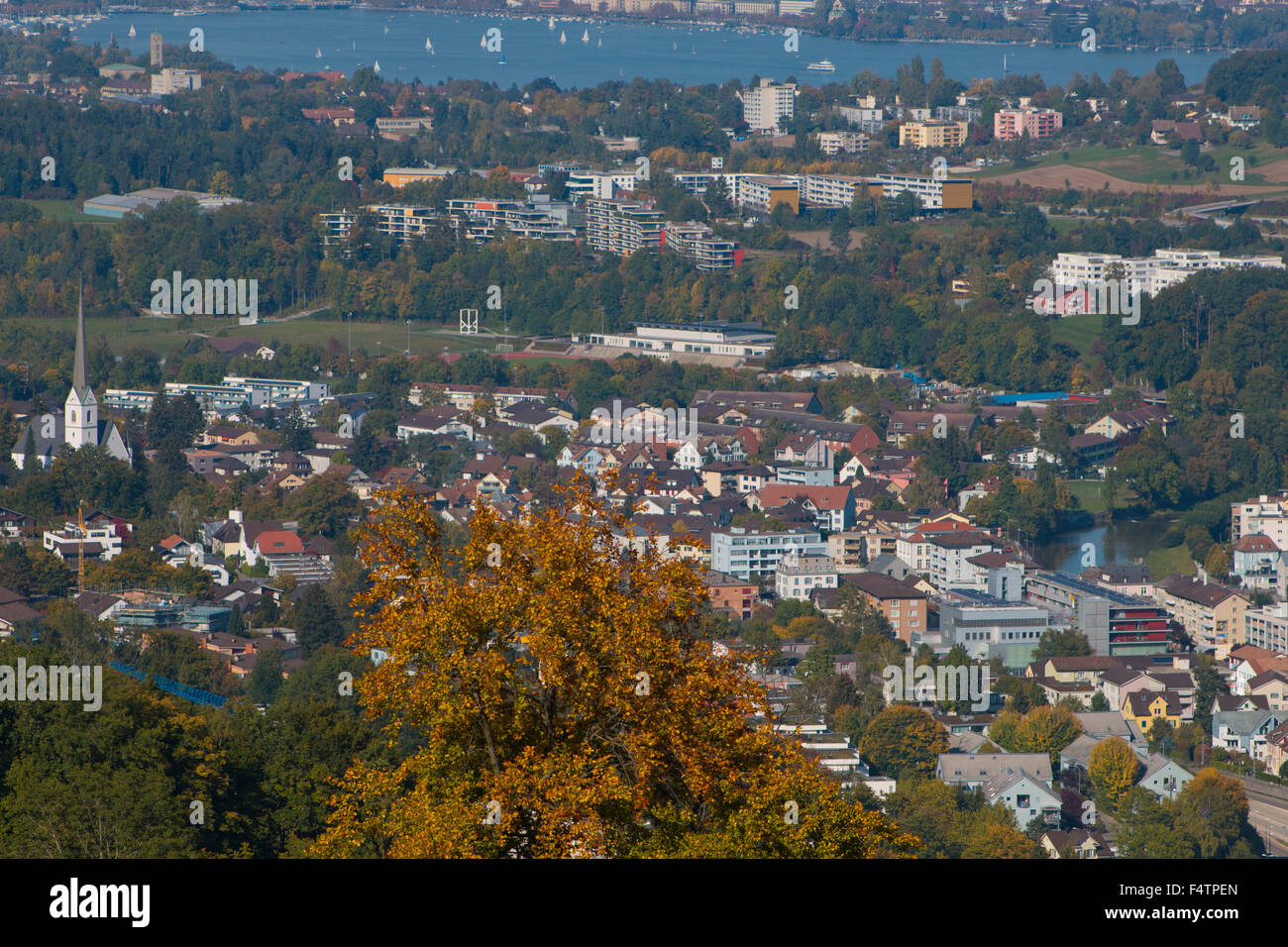 Switzerland, Europe, canton Zurich, Adliswil, town, autumn, Zurich lake, Stock Photo