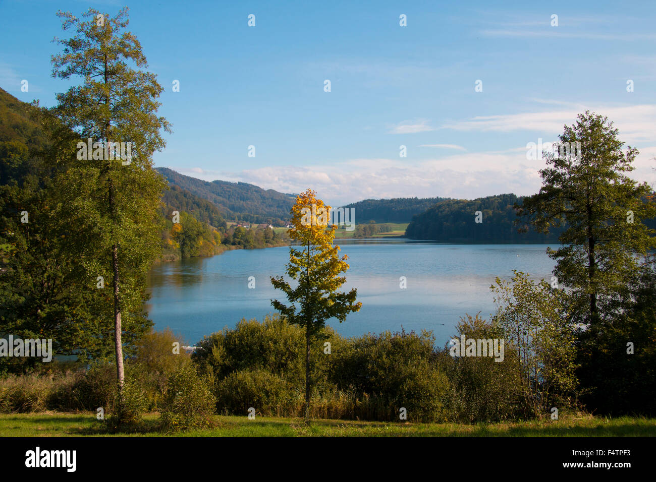 Switzerland, Europe, canton Zurich, Türlersee, lake, autumn, wood, forest, Stock Photo