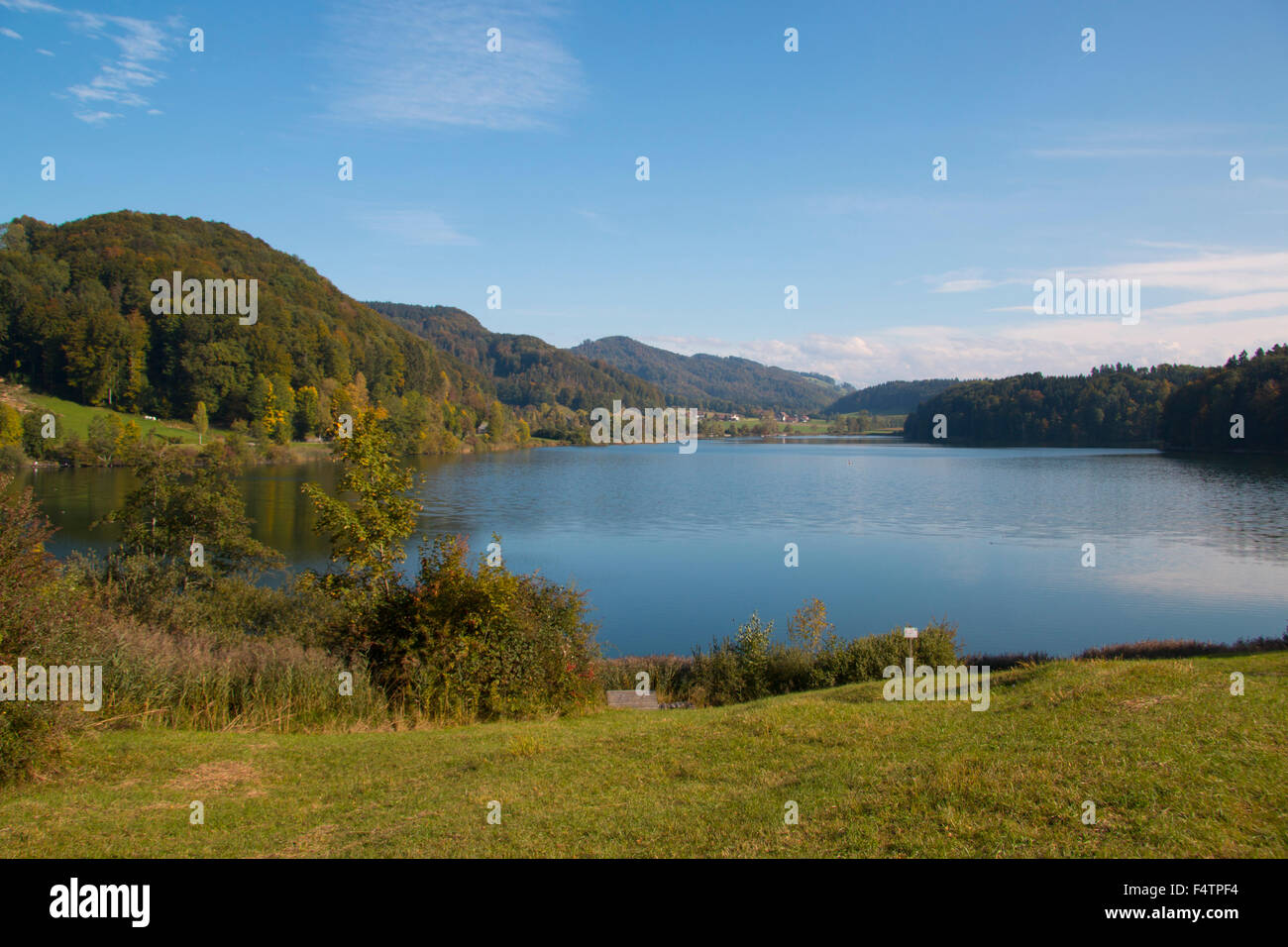 Switzerland, Europe, canton Zurich, Türlersee, lake, autumn, wood, forest, Stock Photo
