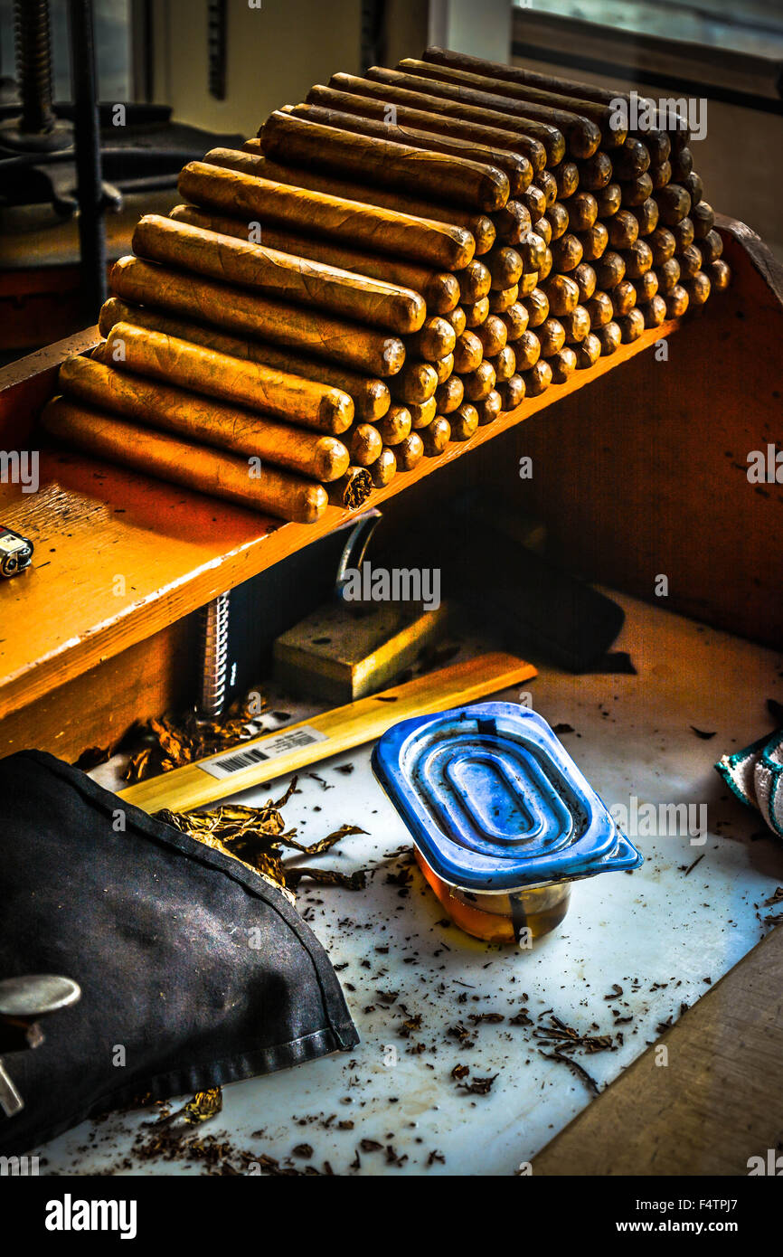 Hand rolled Cuban cigars stacked on shelf of hand-rollers' work bench in cigar factory Stock Photo