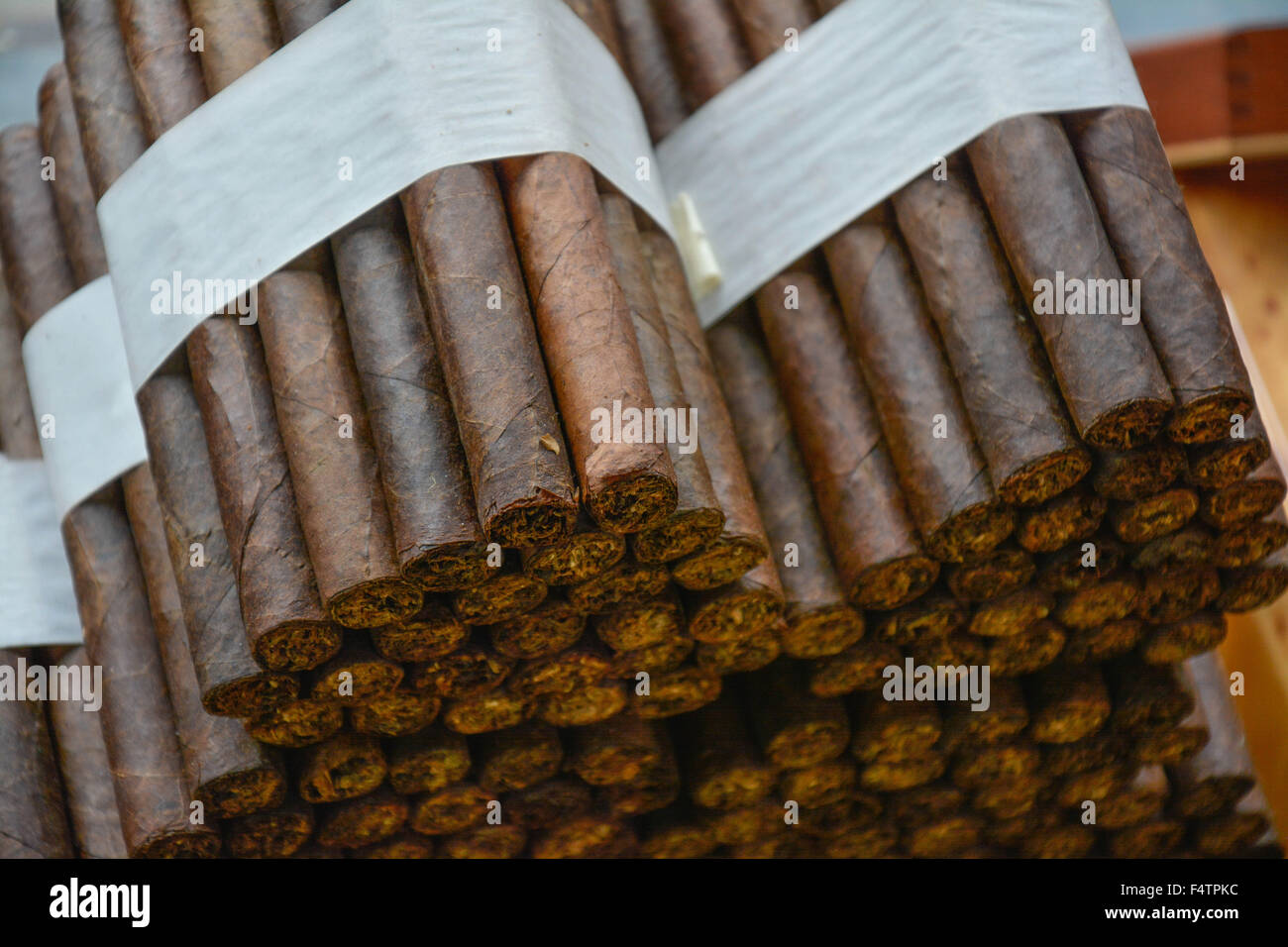 Moody, artistic and nostalgic view of Hand rolled Cuban cigars bundled