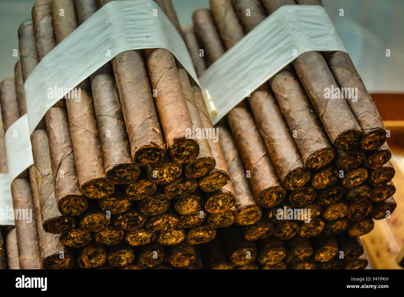 Moody, artistic and nostalgic view of Hand rolled Cuban cigars bundled