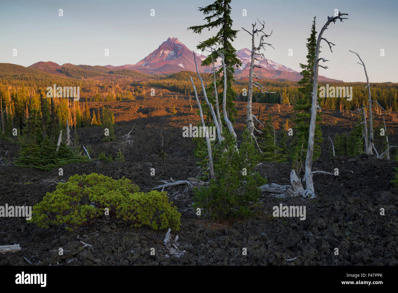 USA, Oregon, Lane County, Willamette, National Forest, lava field and Sisters Mountains at McKenzie Pass Stock Photo