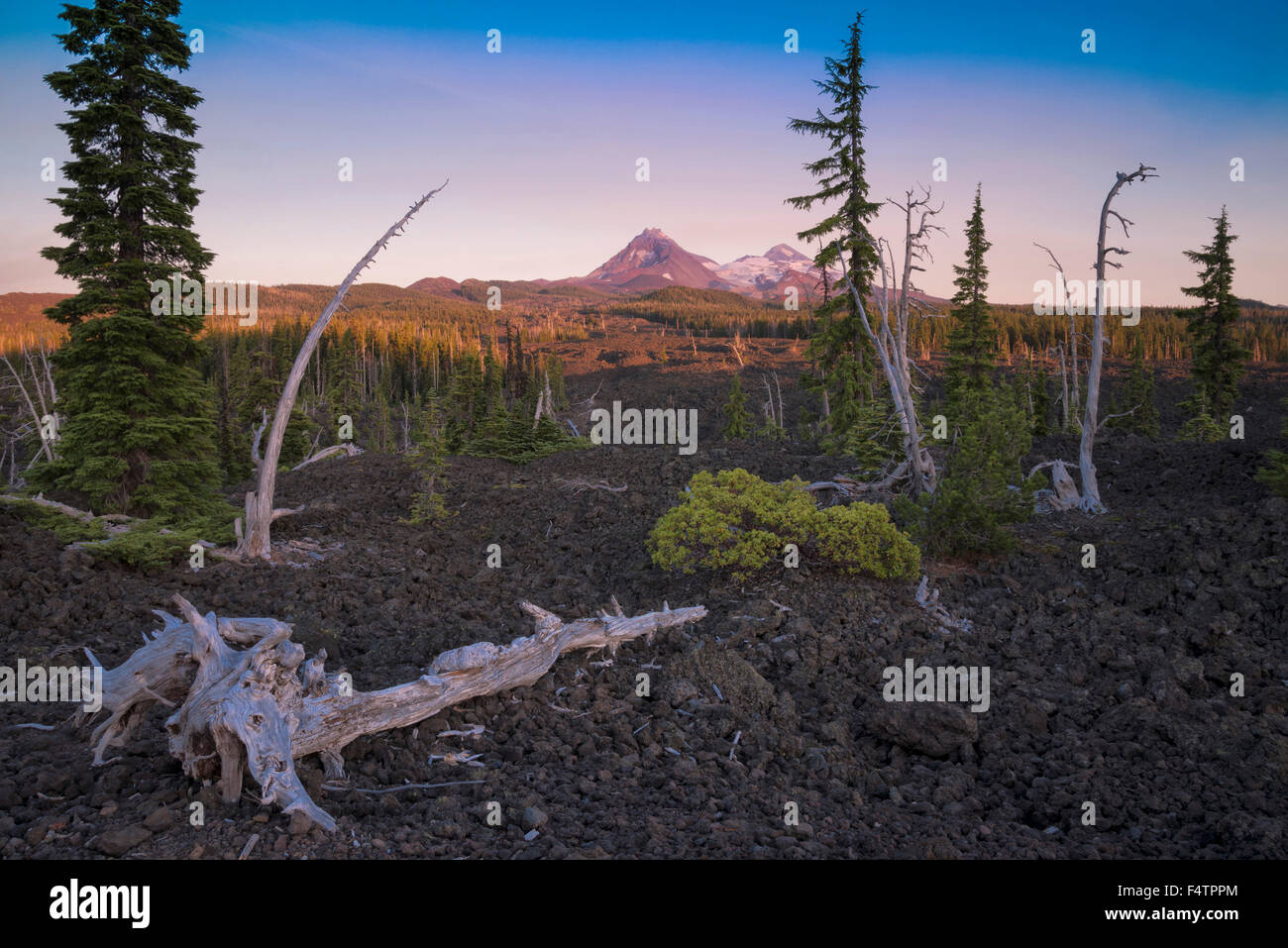 USA, Oregon, Lane County, Willamette, National Forest, lava field and Sisters Mountains at McKenzie Pass Stock Photo