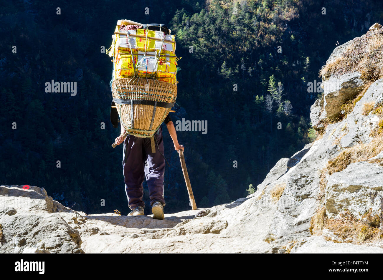 Porter carrying heavy load up an ascending track above Namche Bazar (3. ...