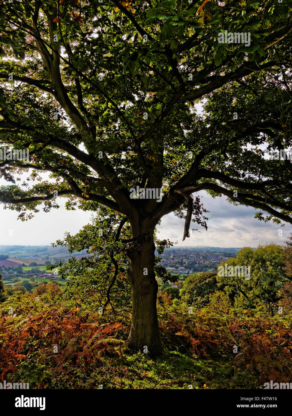 Bromyard In Herefordshire, UK, is a real, oldfashioned market town