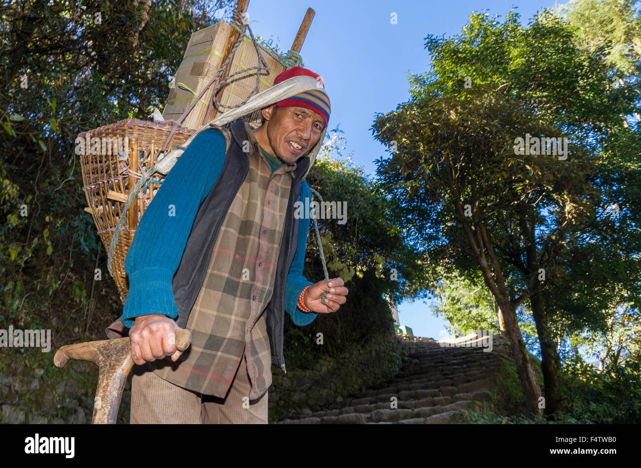 Porter carrying heavy load up an ascending track above Namche Bazar (3. ...