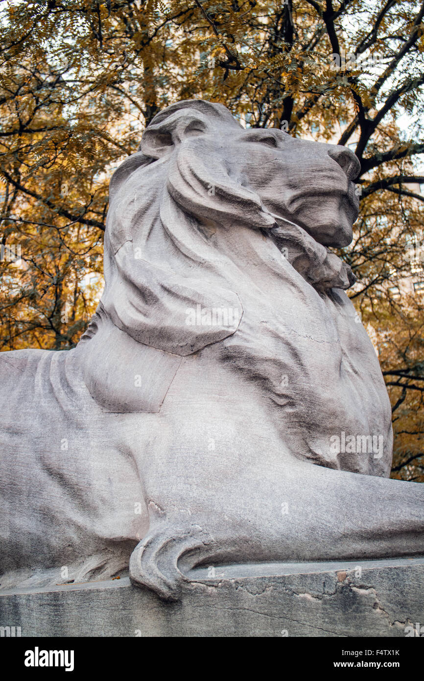Lion Statue New York Public Library Manhattan Stock Photo Alamy