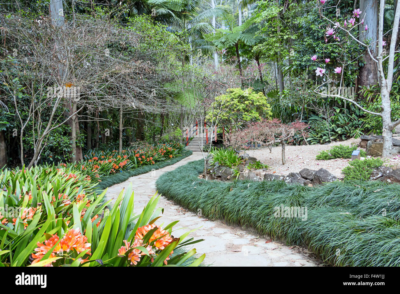 Botanic Gardens Mt Tamborine Queensland Australia Stock Photo Alamy
