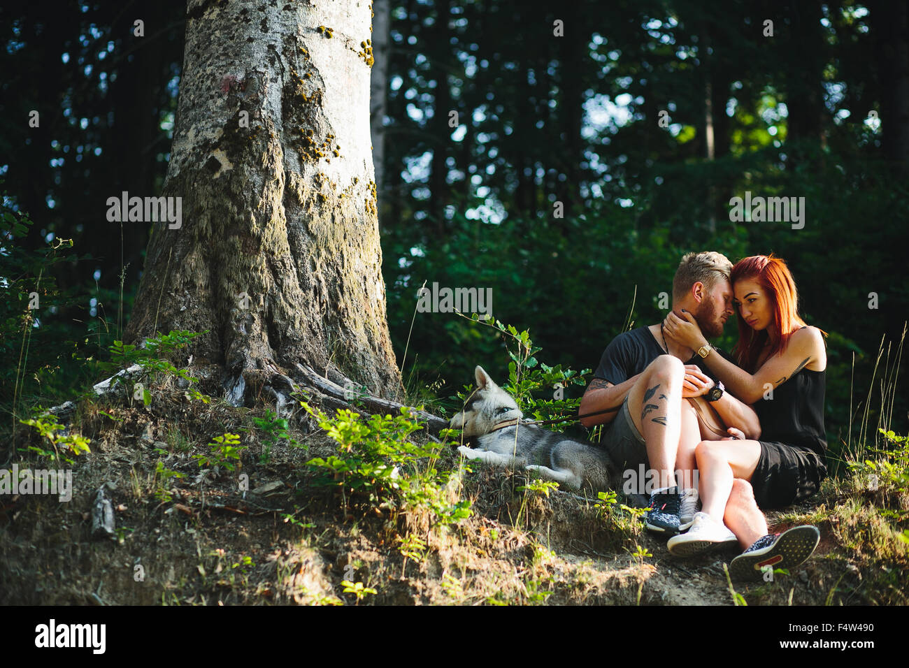 beautiful couple and a dog have a rest in the forest Stock Photo - Alamy