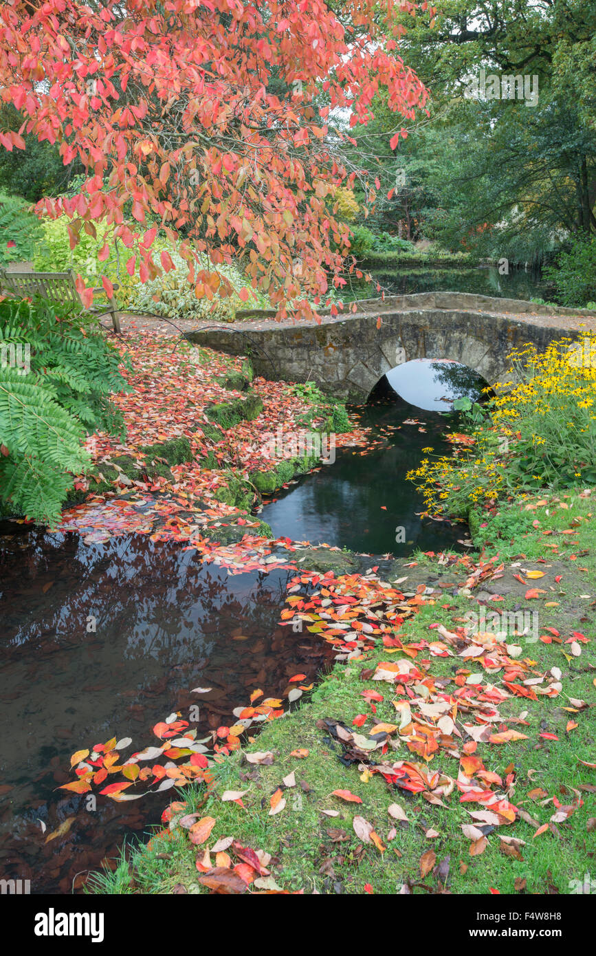 Autumn colours, Wakehurst Place, Sussex, England Stock Photo