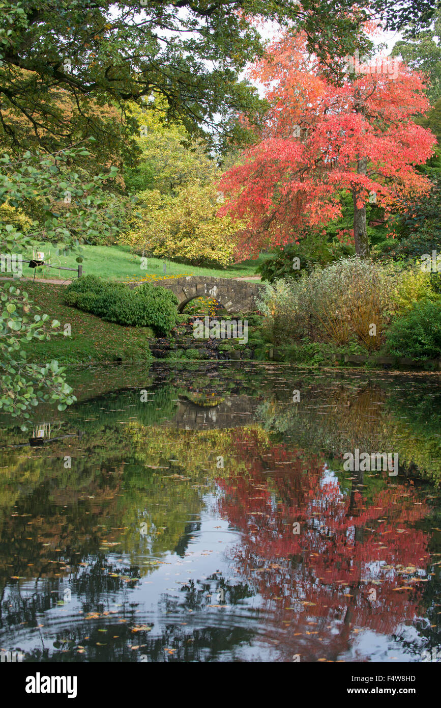 Autumn colours, Wakehurst Place, Sussex, England Stock Photo