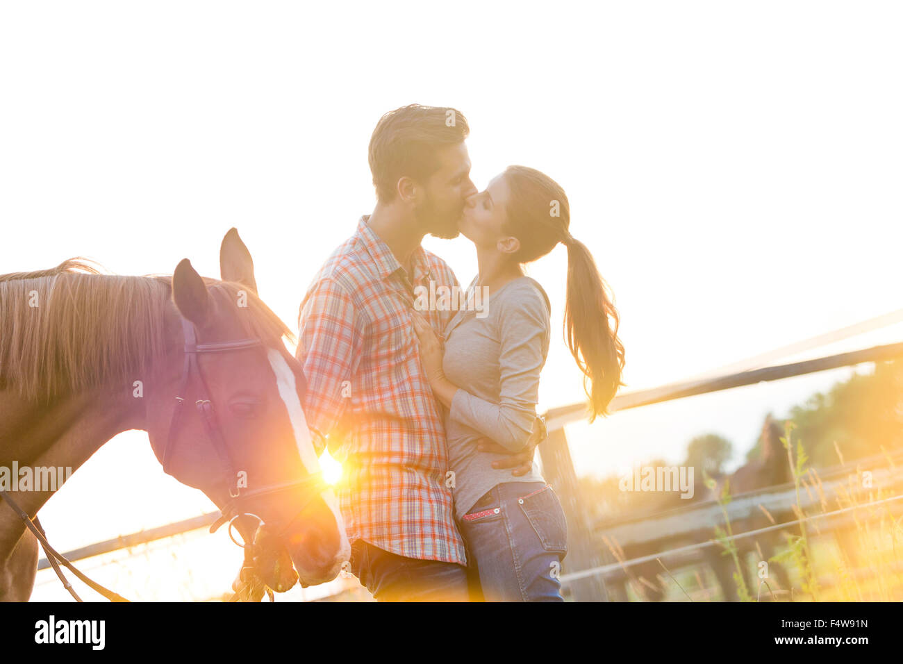 Woman kissing horse hires stock photography and images Alamy