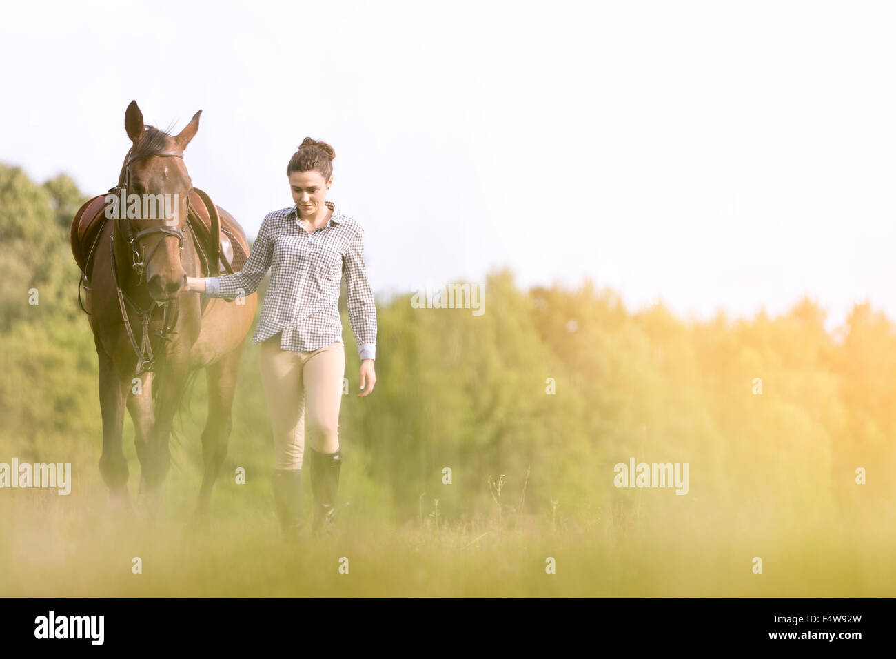 Woman walking horse in rural field Stock Photo