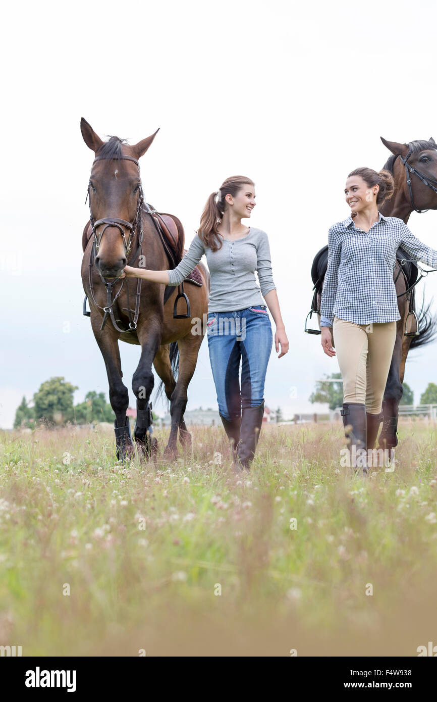 Women walking horses in rural field Stock Photo