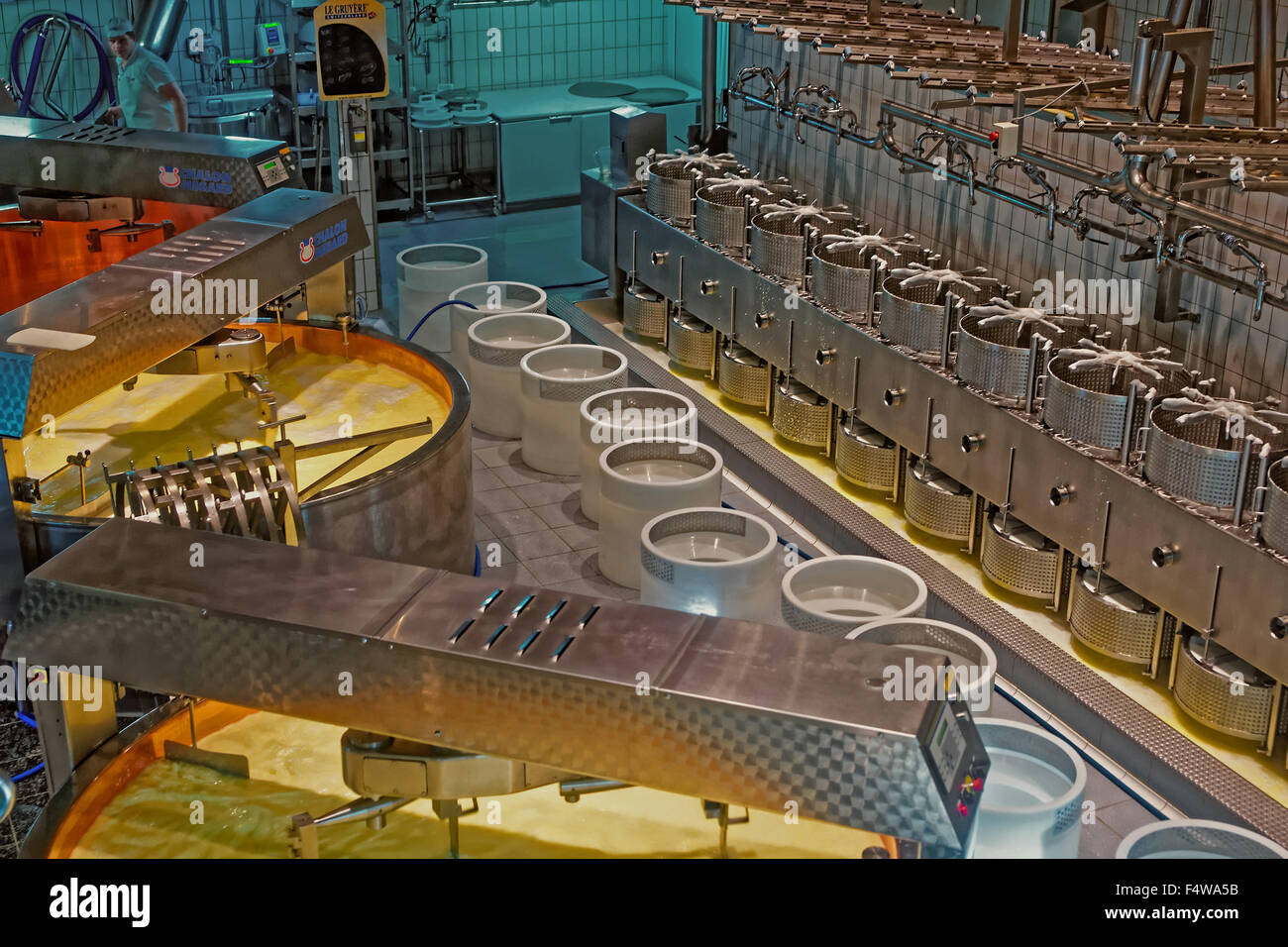 Production of Gruyere cheese at the modernly equipped cheese making