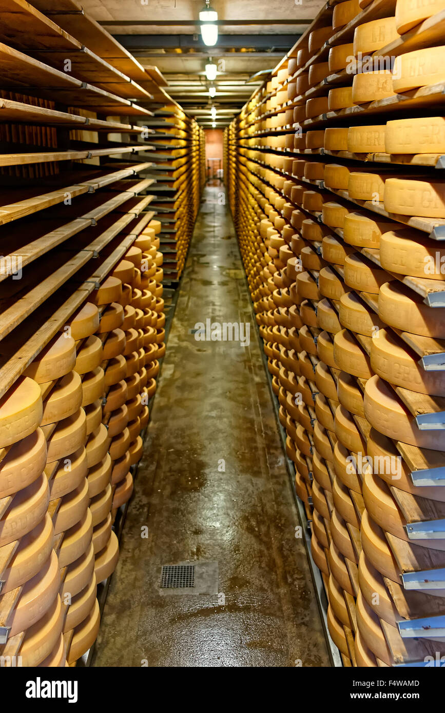 Gruyere cheese maturing in a cellar of Maison du Gruyere dairy in