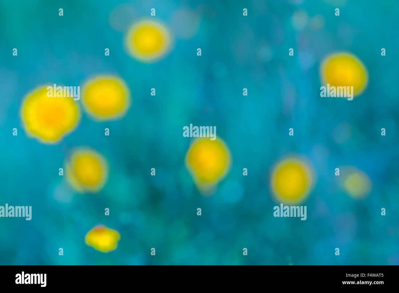 Abstract background - round yellow substance in fantastic aquamarine ocean Stock Photo