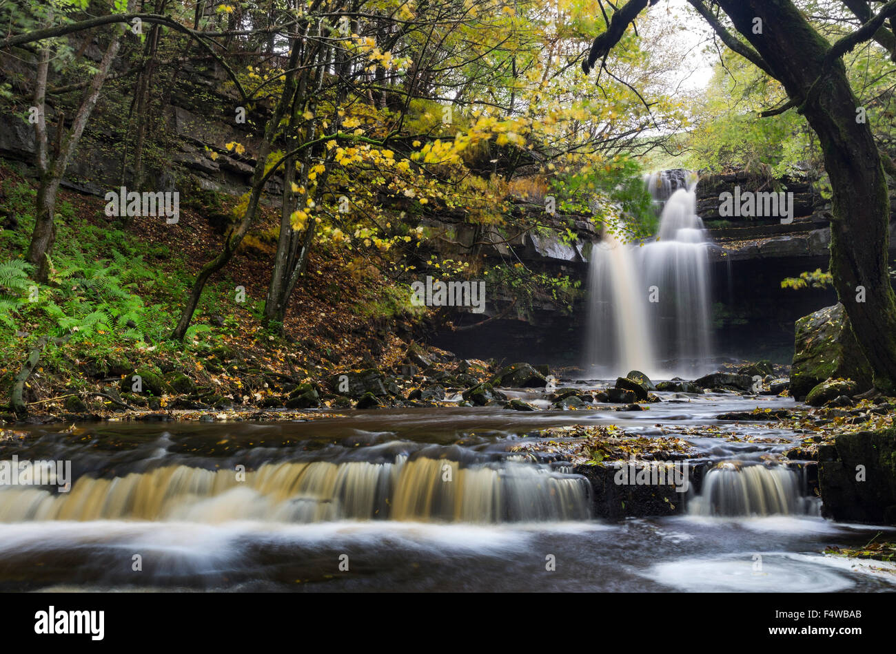 Summerhill Force and Bowlees Beck in Autumn, Bowlees, Teesdale, County Durham UK Stock Photo